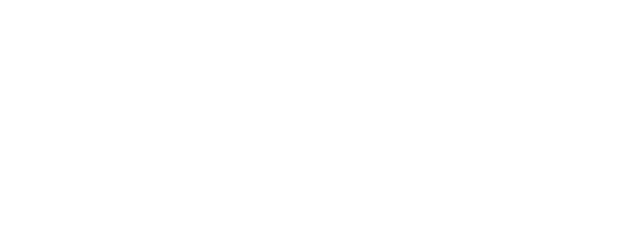 Logo White