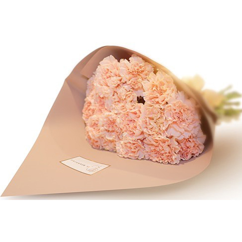 Carnation Pastel