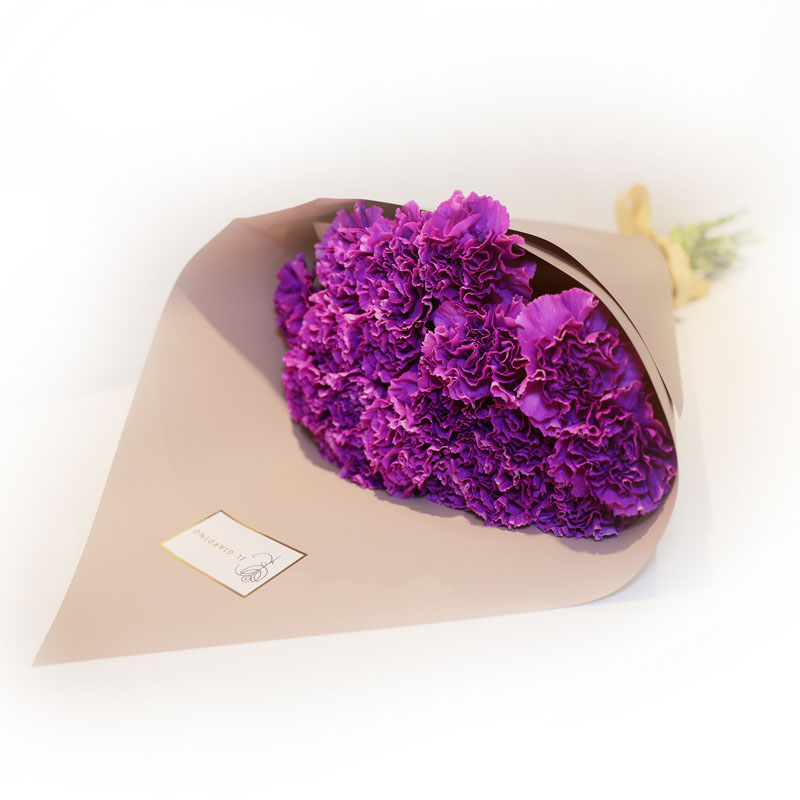 Carnation Purple