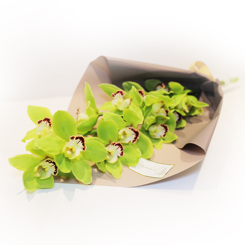Green Cymbedium Orchids