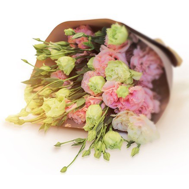 Lisianthus pink