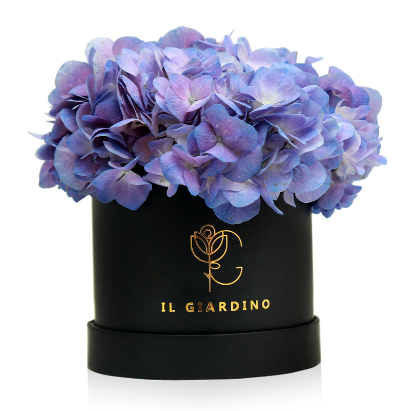 Mini Box of Hydrangeas (Black box/White box)