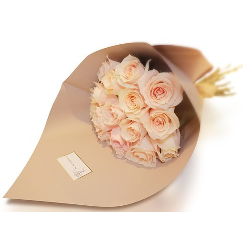 Rose Pastel