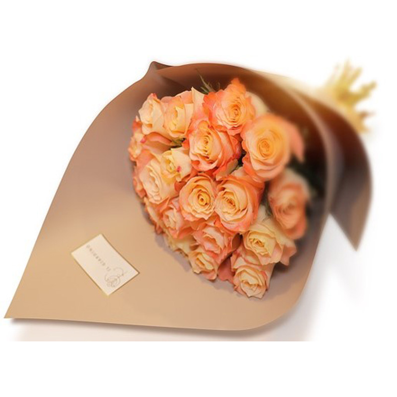 Rose Peach