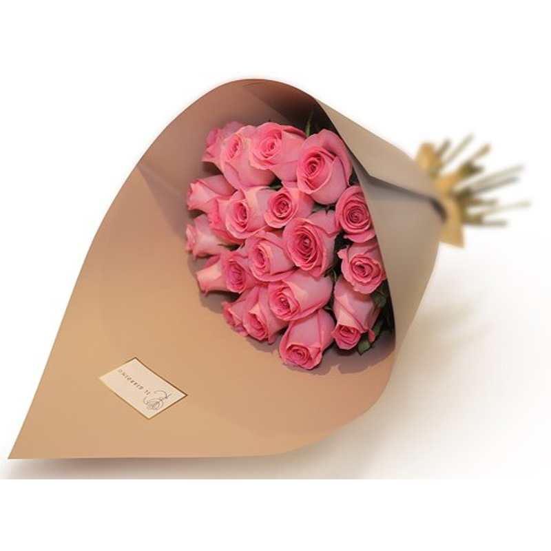 Rose Pink