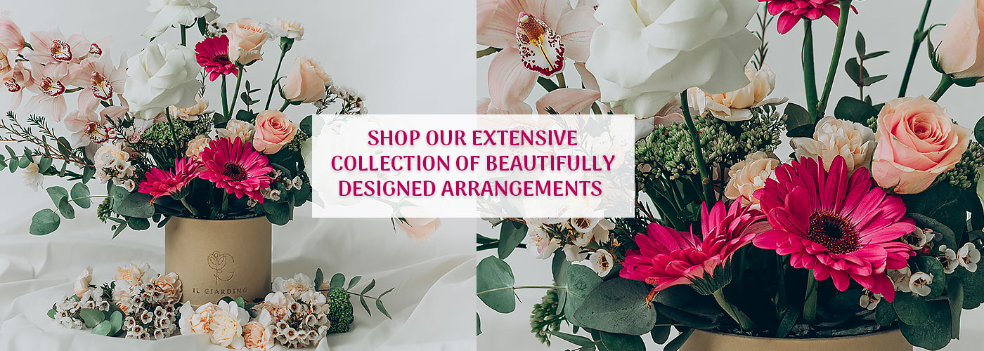 Shop Collection