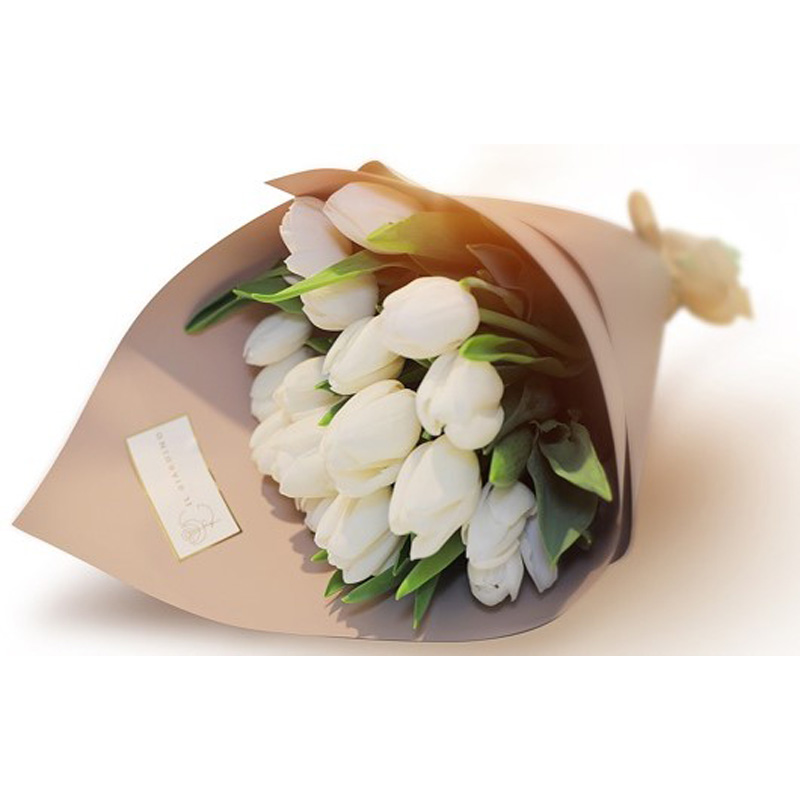 Tulips white