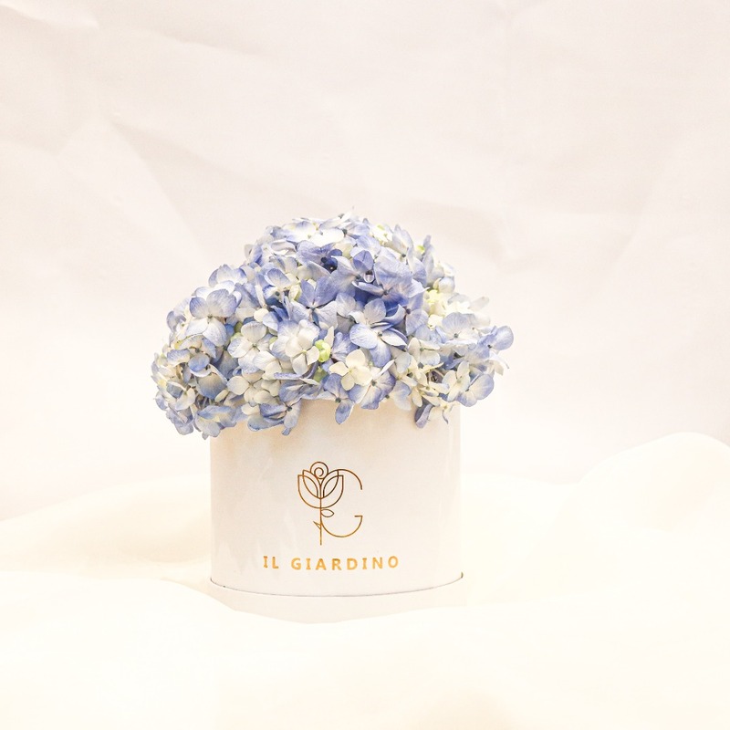 Small Box of Hydrangeas (Black box/White box)